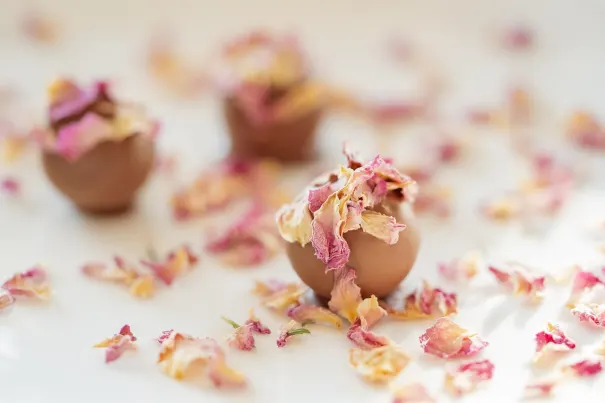 Kasino Bella Vegas Android/iOS Sovellus